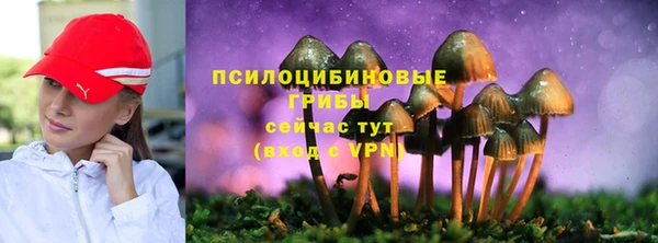 МДПВ Кинешма